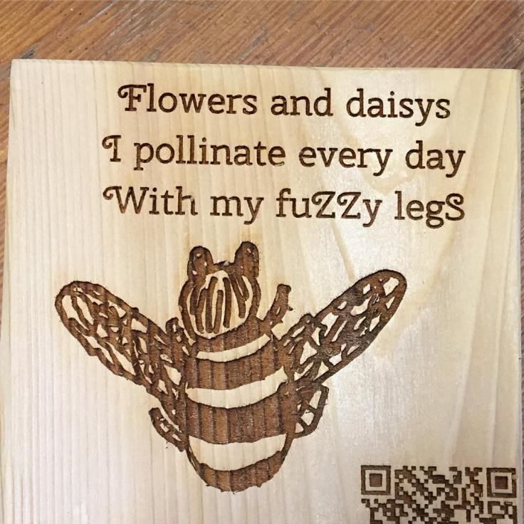 57083796_10161616831385383_8836597007645671424_o