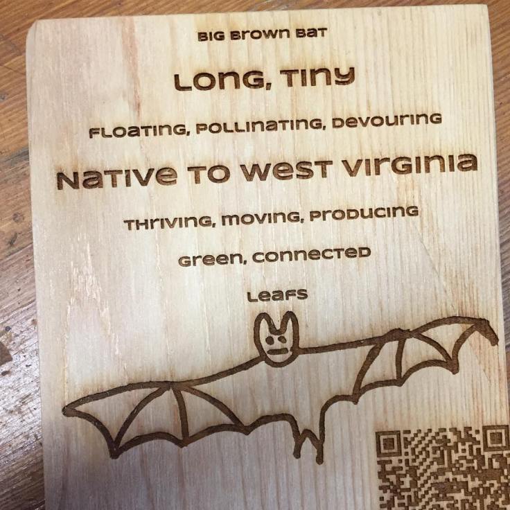 57244794_10161616830660383_622955517039345664_o