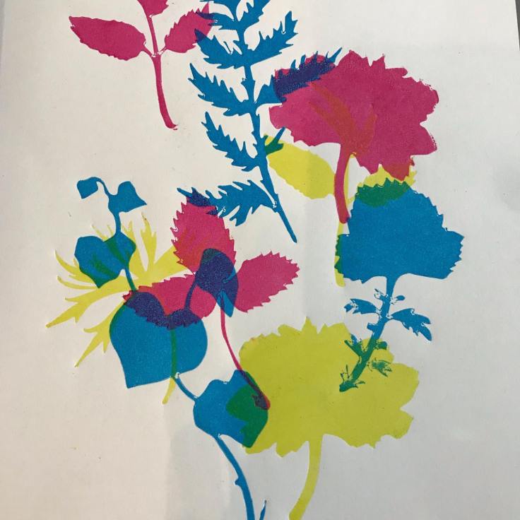 59627603_10161719030805383_8447452079907143680_o