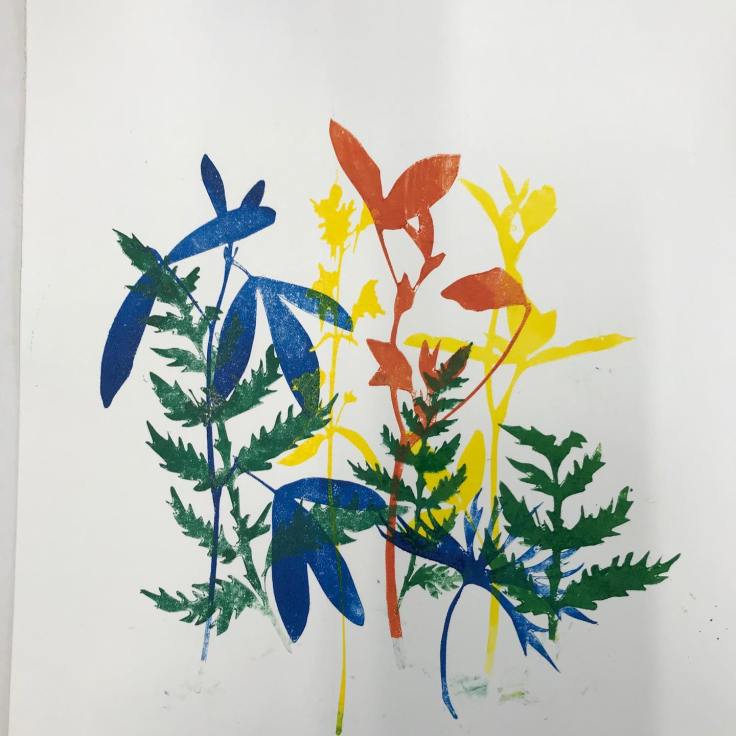 59665634_10161719031275383_727939507189448704_o