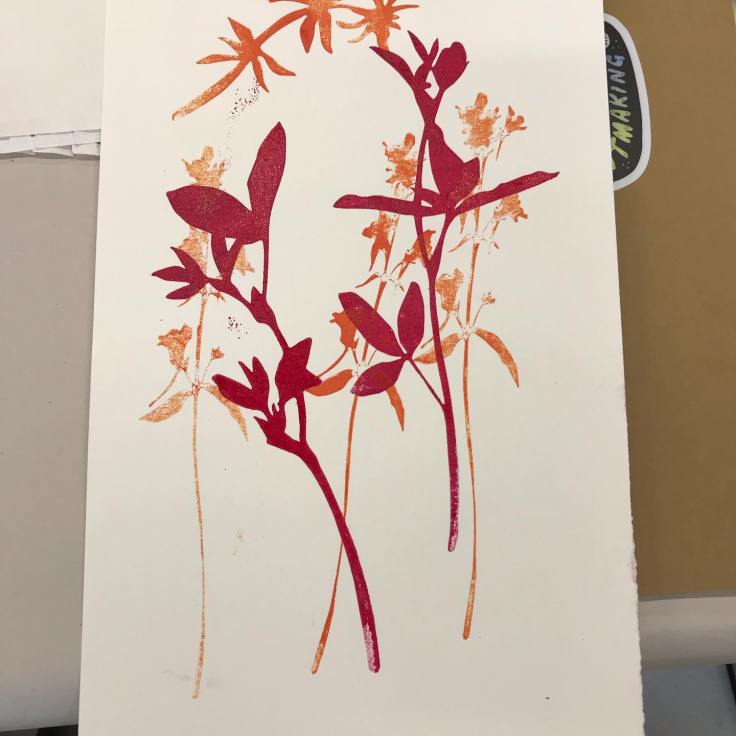 60040181_10161719031625383_619286889119088640_o