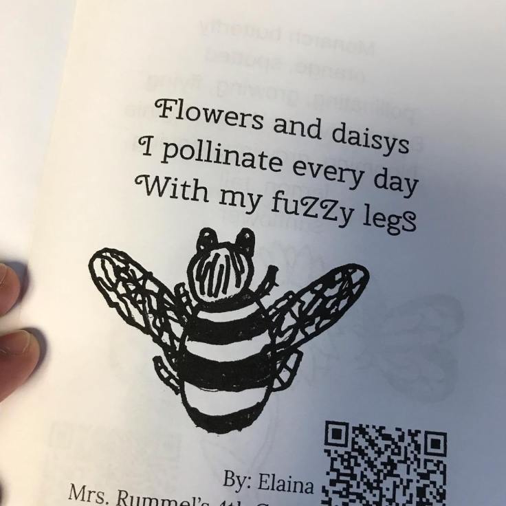 61230978_10161777260110383_5740262544593911808_o