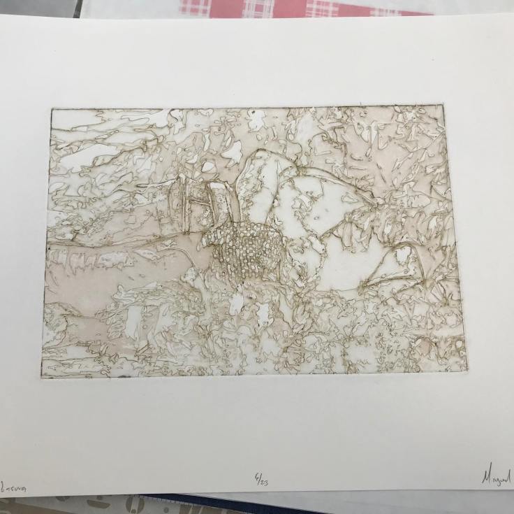 61239035_10161805298580383_5933503010255667200_o