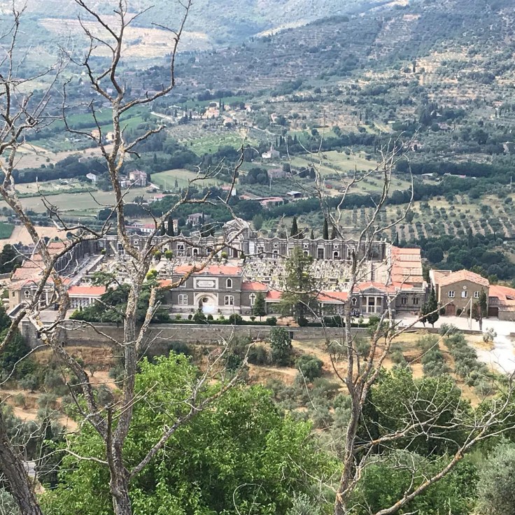 66157648_10161950443255383_6499903926949642240_o